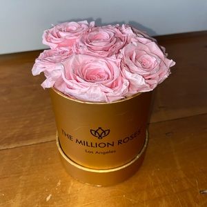 The Million Roses - Preserved Pink Rose Display